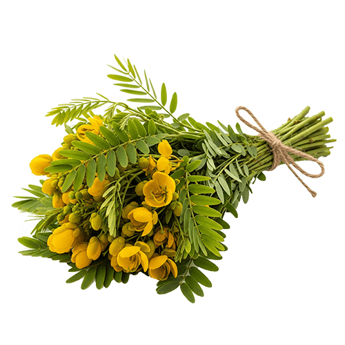 Organic-Ceylon-Ranawara