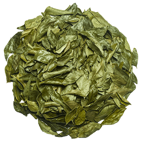 Organic-Curry-Leaves