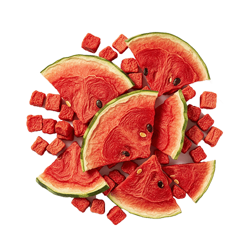 Organic-Dehydrated-Watermelon