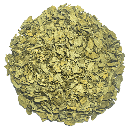 Organic-Moringa-Whole