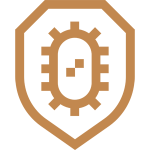 Cinnamon For Antibacterial Protection